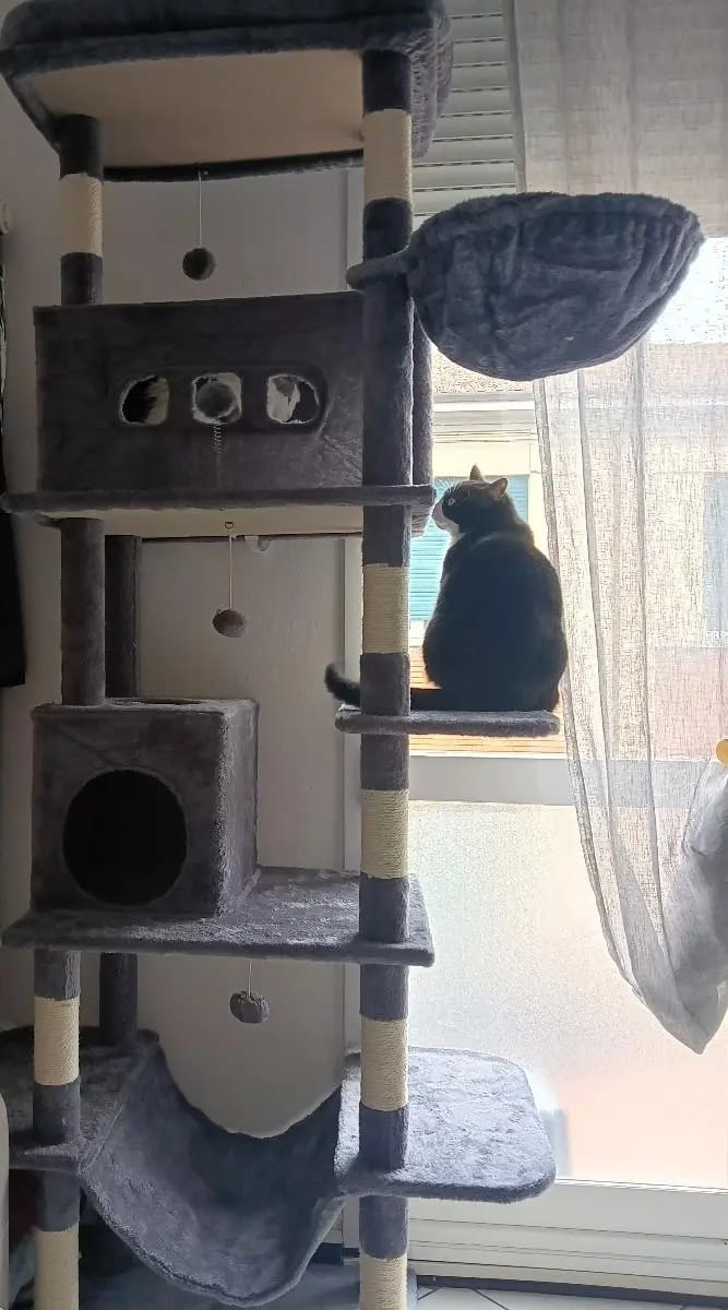 Foto da avaliação Carlos 1