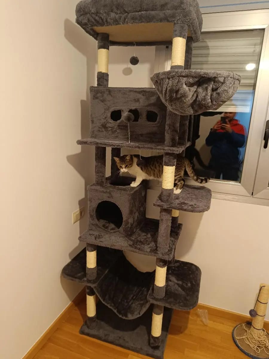 Foto da avaliação Carlos 1