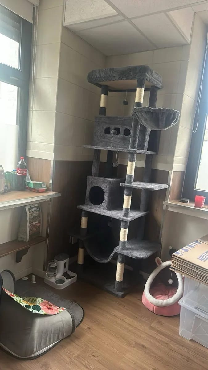 Foto da avaliação Carlos 1